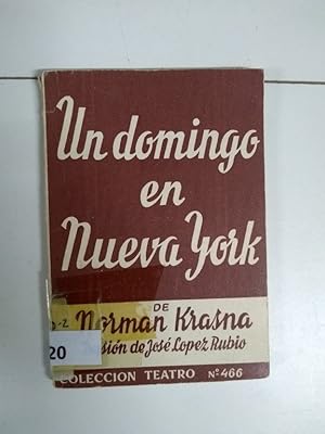 Seller image for Un domingo en Nueva York for sale by Libros Ambig