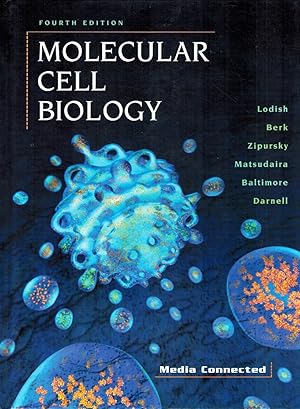 Seller image for MOLECULAR CELL BIOLOGY for sale by Z-A LLC