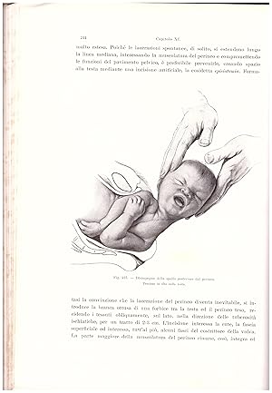 Imagen del vendedor de Trattato completo di Ostetricia ad uso degli Studenti e dei Medici Pratici a la venta por Studio Bibliografico Michelotti