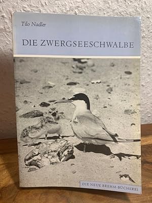 Seller image for Die Zwergseeschwalbe. Sterna albifrons. for sale by Antiquariat an der Nikolaikirche