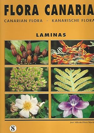 Imagen del vendedor de Flora Canaria. Kanarische Flora. Laminas. 8. a la venta por Lewitz Antiquariat