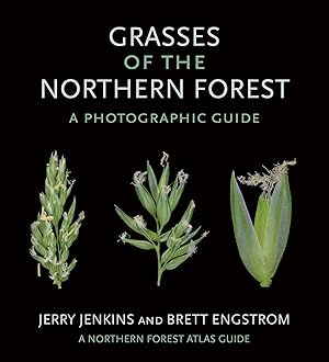 Bild des Verkufers fr Grasses of the Northern Forest: A Photographic Guide zum Verkauf von moluna