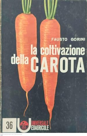 La coltivazione della carota
