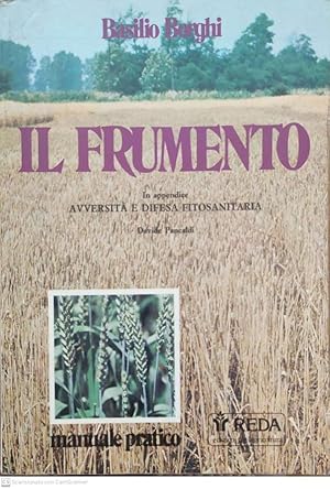 Il frumento