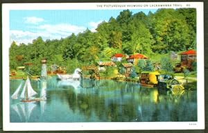 Immagine del venditore per Redwood Resort Park Lackawanna PA postcard 1920s venduto da The Jumping Frog