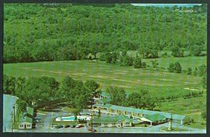 Seller image for New Englander Motor Inn Bennington VT postcard 1960s for sale by The Jumping Frog