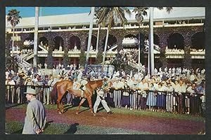 Seller image for View of the Paddock Walking Ring Hialeah Race Course FL postcard 1960 for sale by The Jumping Frog