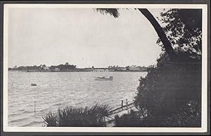Immagine del venditore per Overlooking Piney Point from Indian Mound Cedar Key FL postcard 1950s venduto da The Jumping Frog