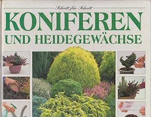 Seller image for Koniferen und Heidegewchse for sale by Bcher bei den 7 Bergen