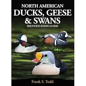 Bild des Verkufers fr North American Ducks, Geese & Swans: An Identification Guide zum Verkauf von Buteo Books