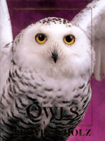 Image du vendeur pour Owls: An Artist's Guide to Understanding Owls mis en vente par Buteo Books