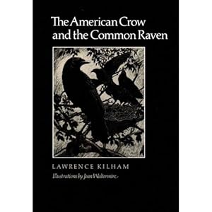 Seller image for The American Crow and the Common Raven for sale by Buteo Books