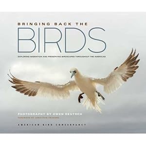 Immagine del venditore per Bringing Back the Birds: Exploring Migration and Preserving Birdscapes throughout the Americas venduto da Buteo Books