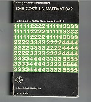 Image du vendeur pour Che cos' la Matematica mis en vente par Il Salvalibro s.n.c. di Moscati Giovanni