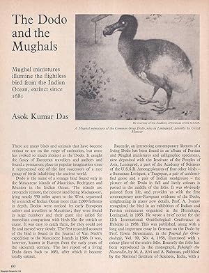 Imagen del vendedor de The Dodo and The Mughals: Flightless Bird from The Indian Ocean, Extinct Since 1681. An original article from History Today magazine, 1973. a la venta por Cosmo Books