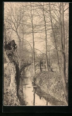 Bild des Verkufers fr Carte postale Goussainville, Wasserlauf im Winter zum Verkauf von Bartko-Reher