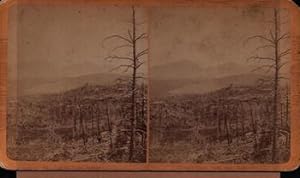 Meadows at Long's Peak: Collier's Rocky Mountain Scenery. (Stereograph).