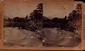 Long's Peak Series - On the St. Vrain Looking West: Collier's Rocky Mountain Scenery. (Stereograph).