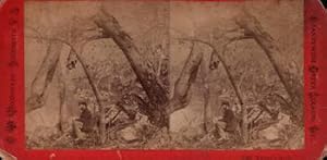 Brandywine Greek Scenery. (Stereograph).