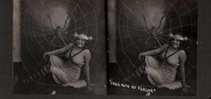 Come into my Parlor. (Stereograph).