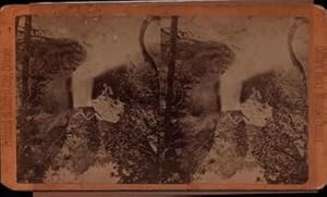 Boulder Series - The Falls, Mouth of North Boulder: Collier's Rocky Mountain Scenery. (Stereograph).