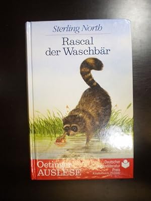 Rascal der Waschbär