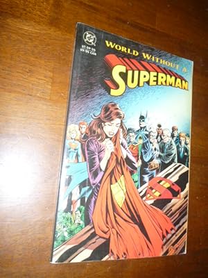 Superman: World without a Superman