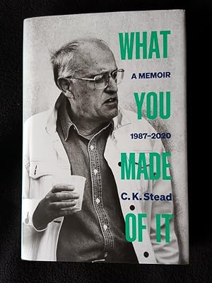 What you made of it : a memoir 1987 - 2020