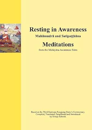 Bild des Verkufers fr Resting in Awareness : Mahamudra and Satipatthana. Meditations zum Verkauf von AHA-BUCH GmbH