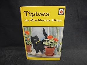 Tiptoes the Mischievous Kitten