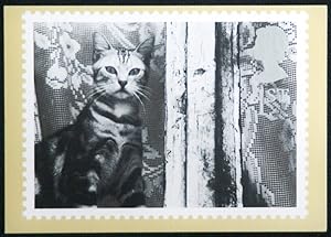 Seller image for George Stubbs Artist Cat At Window Royal Mail Postcard Issued 1991 for sale by Postcard Anoraks