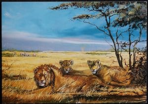 Lions At Rest by Silvia Duran The Medici Society London Postcard