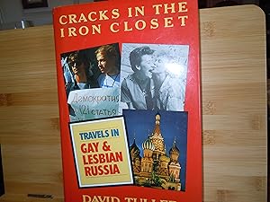 Seller image for Cracks in the Iron closet for sale by Horton Colbert