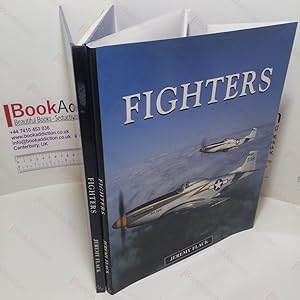 Seller image for Fighters for sale by BookAddiction (ibooknet member)