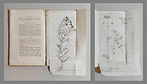Icones plantarum Helvetiae, ex ipsius historia stripium Helveticarum denuo recusae, cu descriptio...
