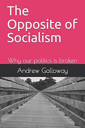 Imagen del vendedor de The Opposite of Socialism: Why our politics is broken a la venta por WeBuyBooks