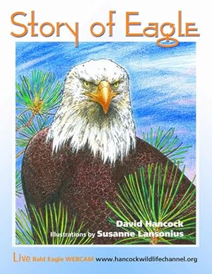 Seller image for Story of Eagle Activity & Coloring Book for sale by GreatBookPricesUK