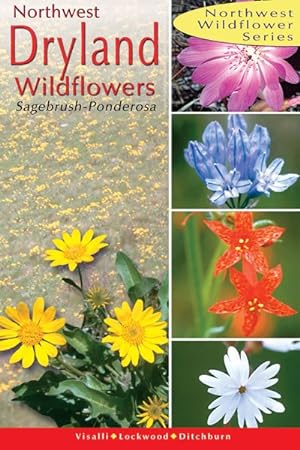 Seller image for Northwest Dryland Wildflowers : Sagebrush and Ponderosa for sale by GreatBookPrices