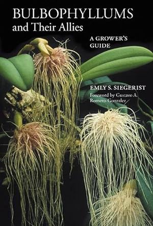 Imagen del vendedor de Bulbophyllums and Their Allies (Paperback) a la venta por Grand Eagle Retail
