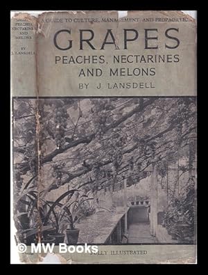 Bild des Verkufers fr Grapes, peaches, nectarines and melons zum Verkauf von MW Books Ltd.