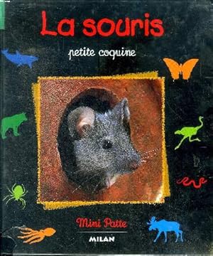 Seller image for La souris Petite coquine Collection Mini Patte for sale by Le-Livre
