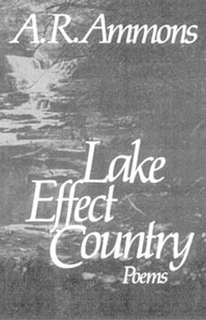 Immagine del venditore per Lake Effect Country (Paperback) venduto da AussieBookSeller