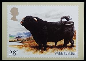 Seller image for Welsh Black Bull Cattle Artist Barry Driscoll Royal Mail Stamp 1984 Postcard for sale by Postcard Anoraks