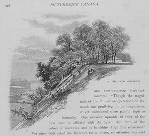 VIEW OF GODERICH PARK in Huron County,Ontario,Historical Picturesque Canada,1882 print