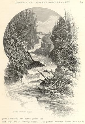 SOUTH MUSKOKA FALLS VIEW,Picturesque Canada,1882 print