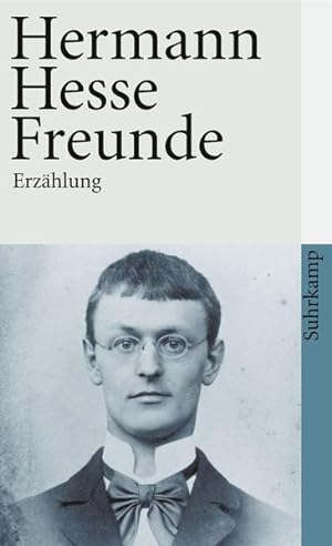 Seller image for Freunde : Erzhlung. Suhrkamp Taschenbuch ; 1284 for sale by NEPO UG