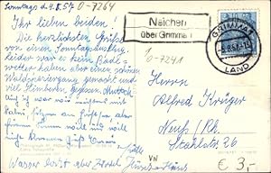 Ansichtskarte / Postkarte Landpoststempel Neichen über Grimma 1