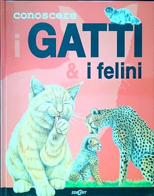 Conoscere i Gatti e i Felini