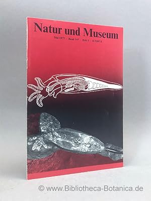 Imagen del vendedor de Natur und Museum. Bd. 107. H.5. Bericht der Senckenbergischen Naturforschenden Gesellschaft. a la venta por Bibliotheca Botanica