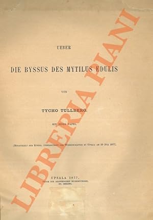 Ueber die Byssus des Mytilus edulis.
